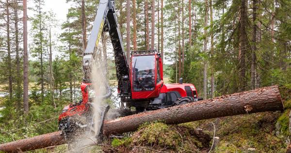Komatsu 931 harvester working